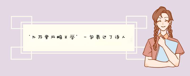 ‘九万里风鹏正举’一句表达了诗人怎样的情感,第1张