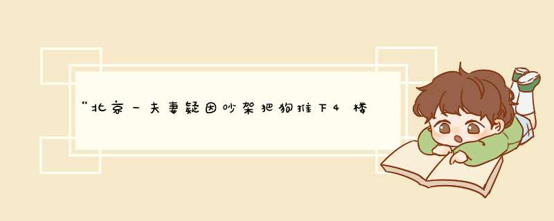 “北京一夫妻疑因吵架把狗推下4楼”登上热搜，这只狗的情况如何了？,第1张