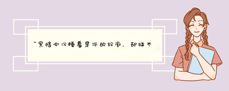 “黑暗中沉睡着是你的轮廓，却碰不到你的灵魂，这一张小小的双人床 让我迷路了"这首歌叫什么？,第1张