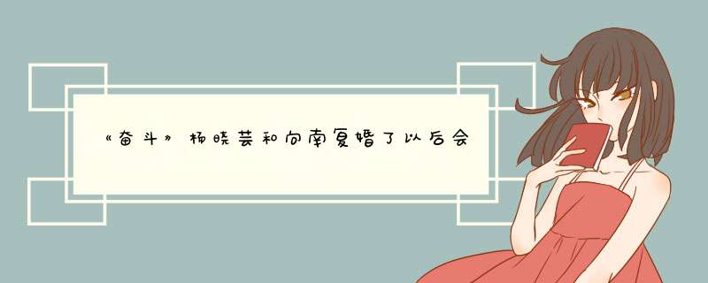 《奋斗》杨晓芸和向南复婚了以后会幸福吗？,第1张