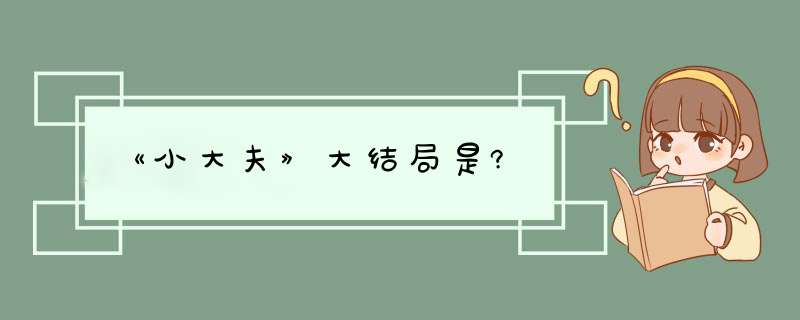 《小大夫》大结局是?,第1张