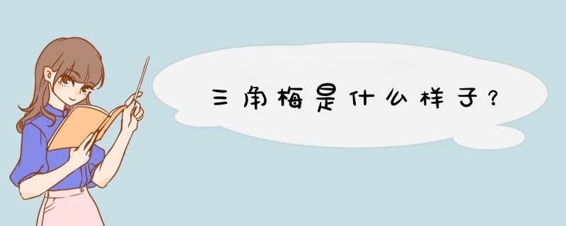 三角梅是什么样子？,第1张