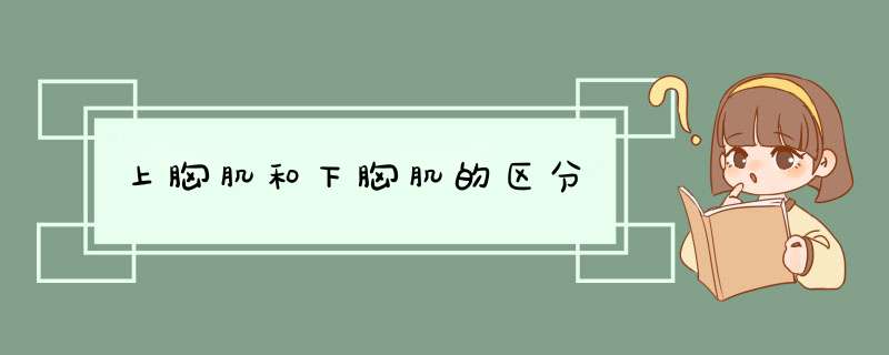 上胸肌和下胸肌的区分,第1张