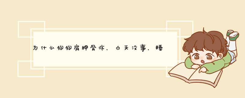 为什么狗狗肩胛骨疼，白天没事，睡觉醒来就又严重了，为什么呢？现在给它吃的钙片和营养膏！,第1张