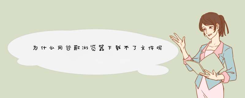 为什么用谷歌浏览器下载不了文件呢？,第1张