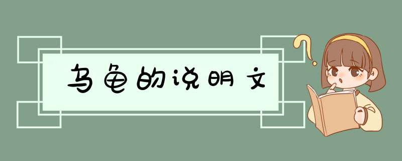 乌龟的说明文,第1张