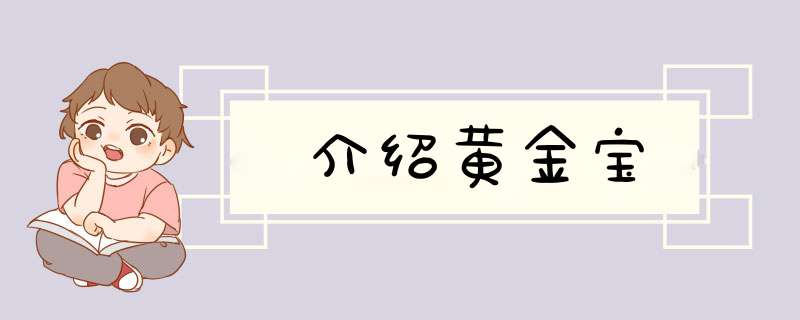 介绍黄金宝,第1张