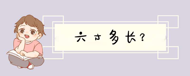 六寸多长？,第1张