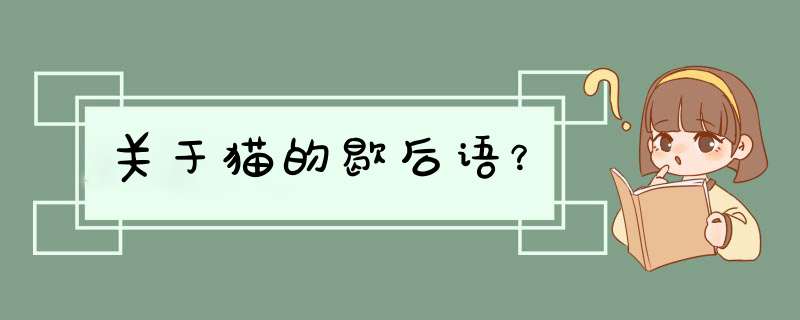 关于猫的歇后语？,第1张