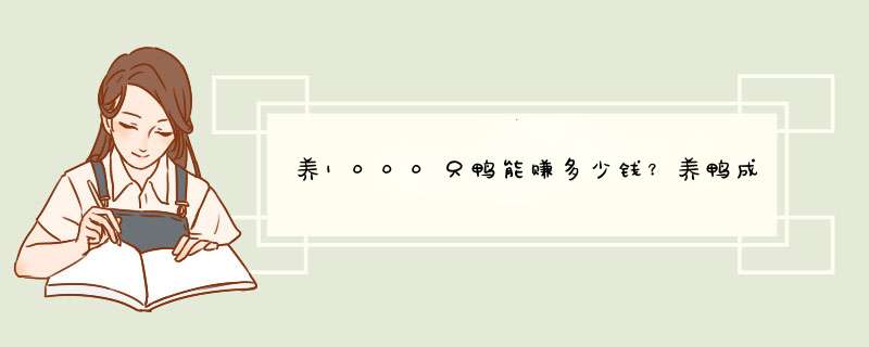 养1000只鸭能赚多少钱？养鸭成本怎么计算？,第1张