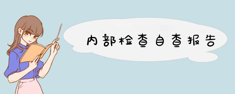 内部检查自查报告,第1张