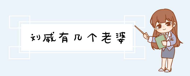 刘威有几个老婆,第1张