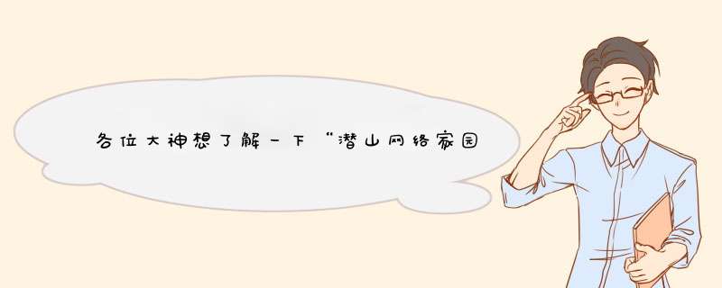 各位大神想了解一下“潜山网络家园”及相关信息？,第1张