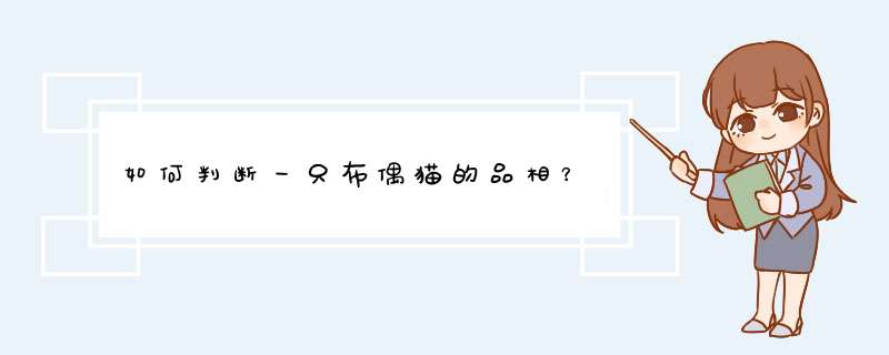 如何判断一只布偶猫的品相？,第1张