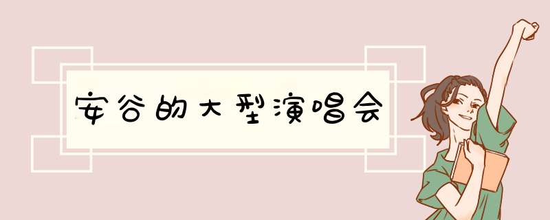 安谷的大型演唱会,第1张