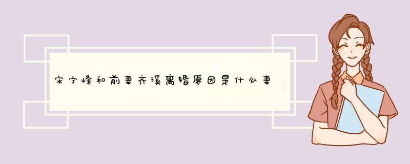 宋宁峰和前妻齐溪离婚原因是什么妻子张婉婷个人信息被扒是干嘛的,第1张