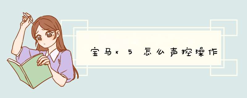 宝马x5怎么声控操作,第1张