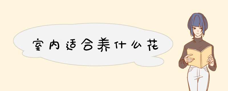 室内适合养什么花,第1张