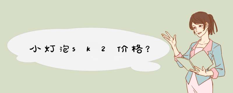 小灯泡sk2价格？,第1张