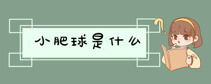 小肥球是什么,第1张