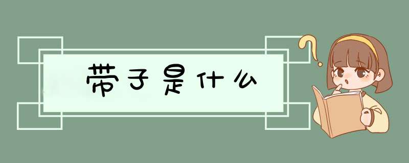 带子是什么,第1张