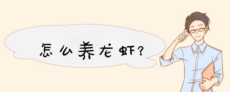 怎么养龙虾？,第1张