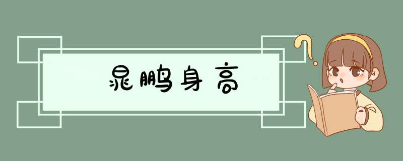 晁鹏身高,第1张