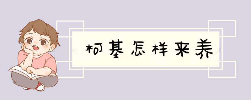 柯基怎样来养,第1张