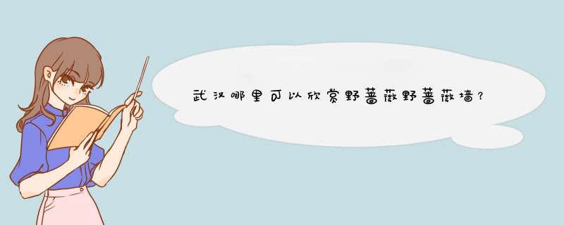 武汉哪里可以欣赏野蔷薇野蔷薇墙？,第1张