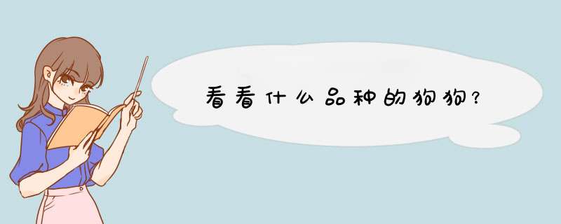 看看什么品种的狗狗？,第1张