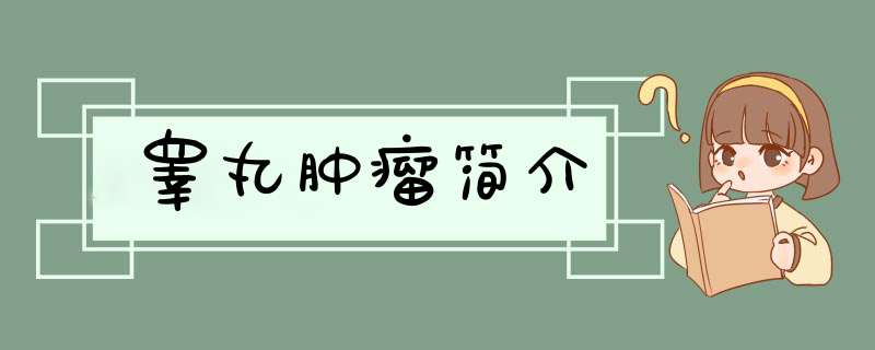 睾丸肿瘤简介,第1张