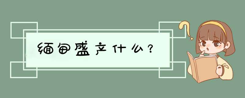 缅甸盛产什么？,第1张