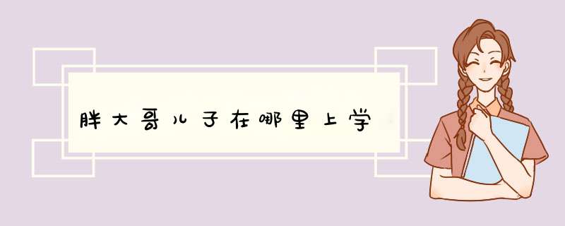 胖大哥儿子在哪里上学,第1张