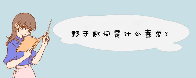 野子歌词是什么意思？,第1张