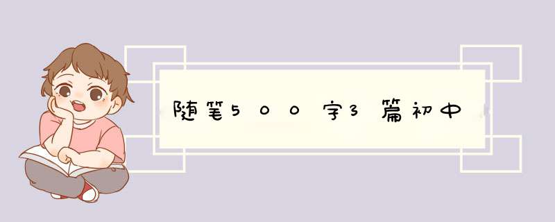 随笔500字3篇初中,第1张