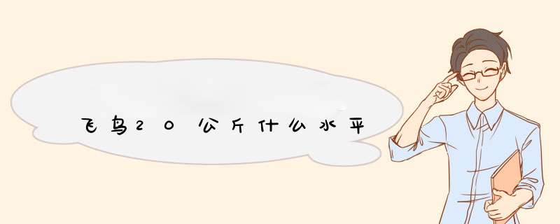 飞鸟20公斤什么水平,第1张