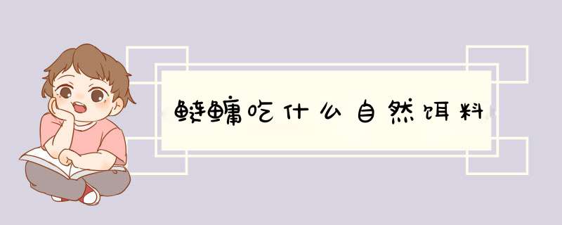 鲢鳙吃什么自然饵料,第1张