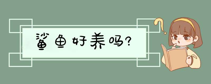 鲨鱼好养吗?,第1张