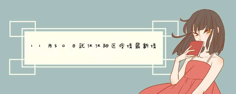 11月30日武汉汉阳区疫情最新情况（12.30日武汉公布疫情情况）,第1张