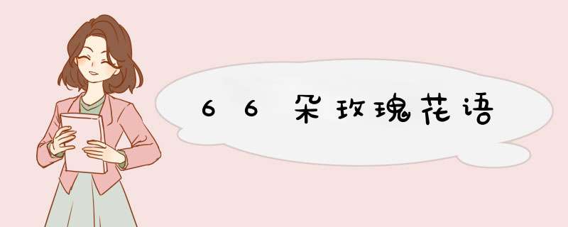 66朵玫瑰花语,第1张