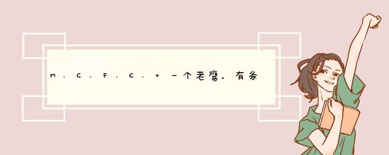 M.C.F.C. 一个老鹰。有条船。。上面有三颗星的是哪个足球队的。。带图。。谢谢！！,第1张