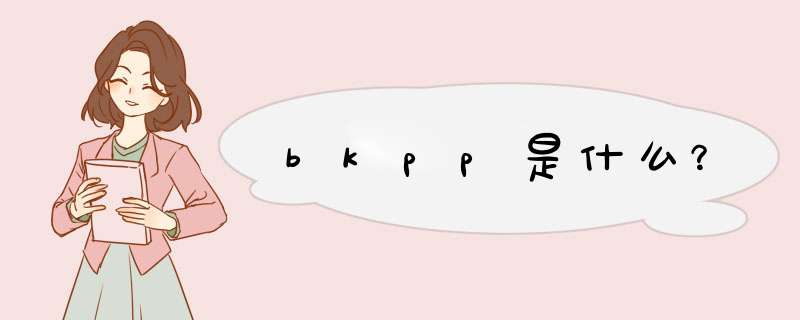 bkpp是什么？,第1张