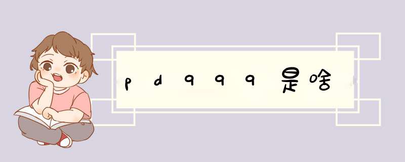 pd999是啥,第1张