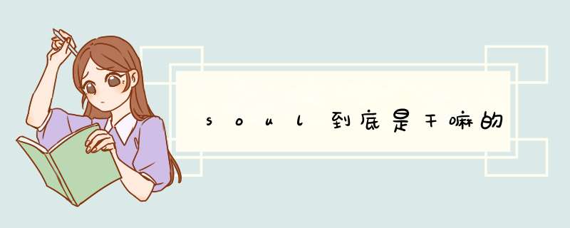 soul到底是干嘛的,第1张