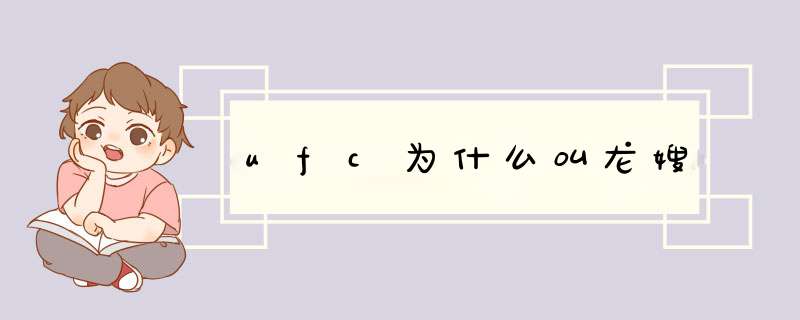 ufc为什么叫龙嫂,第1张